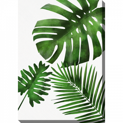 Liście palmowe